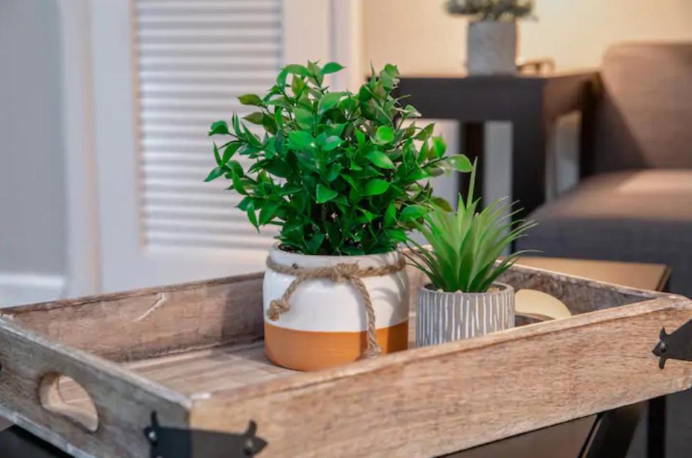 Westshore South Tampa Apt Διαμέρισμα Εξωτερικό φωτογραφία