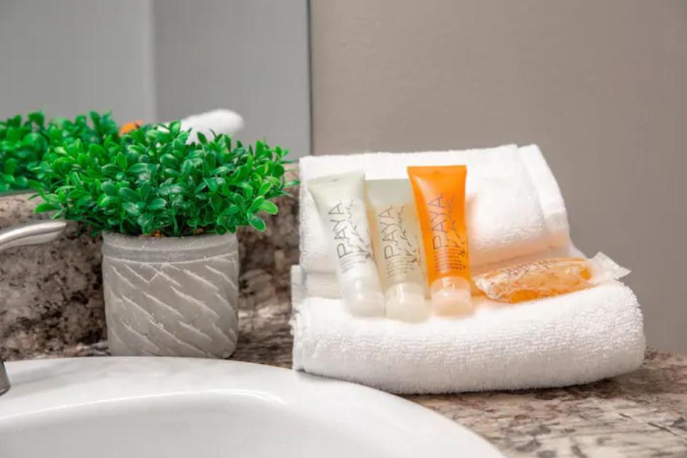 Westshore South Tampa Apt Διαμέρισμα Εξωτερικό φωτογραφία